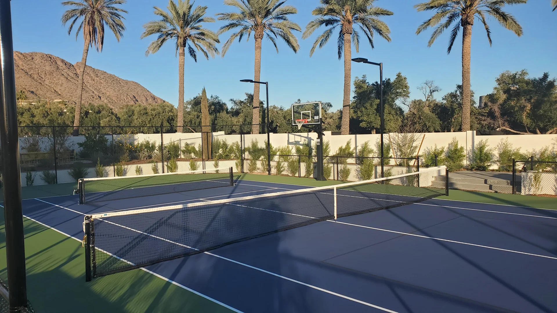 a blue tennis court with palm trees in the background