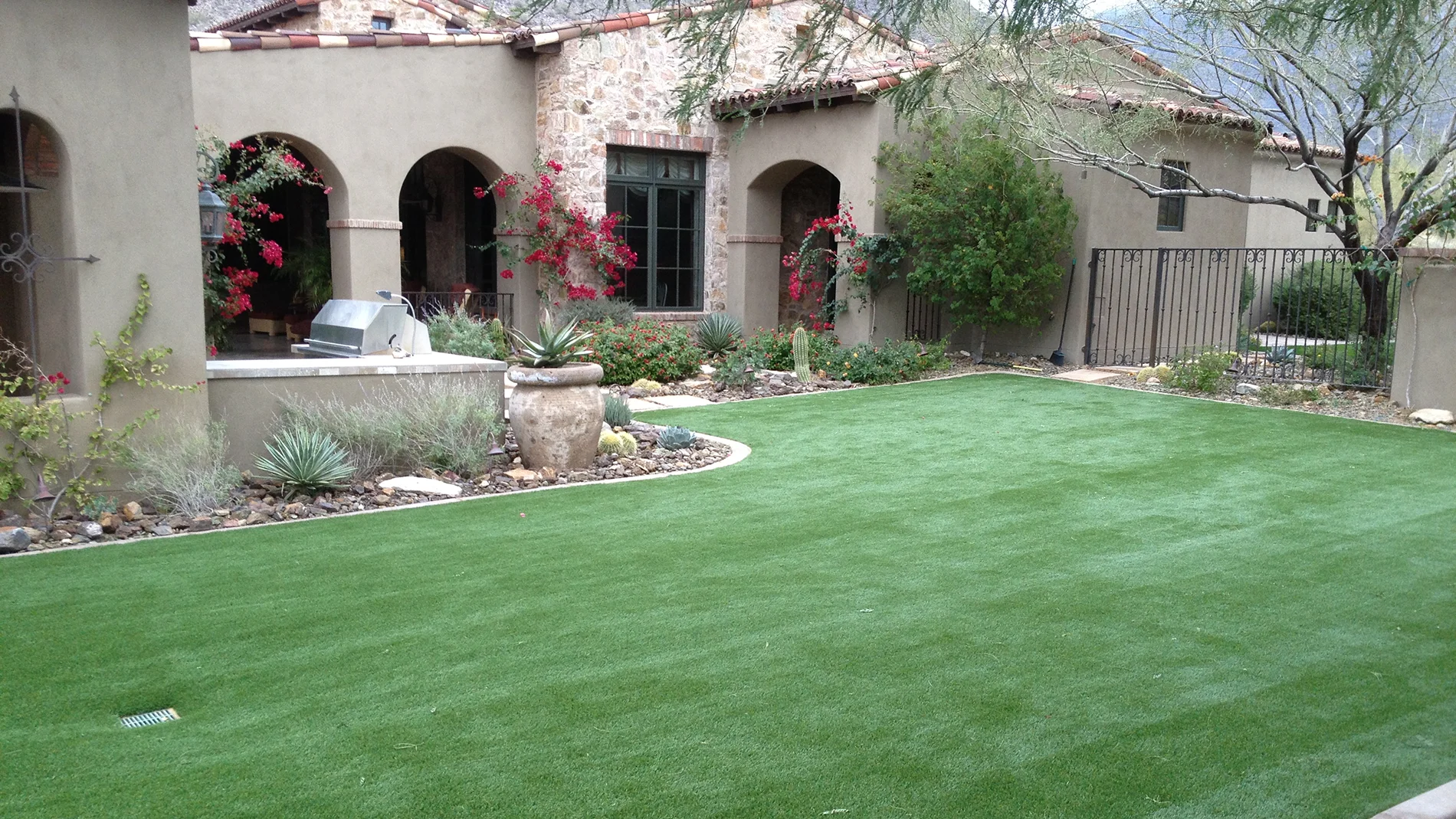 backyard turf